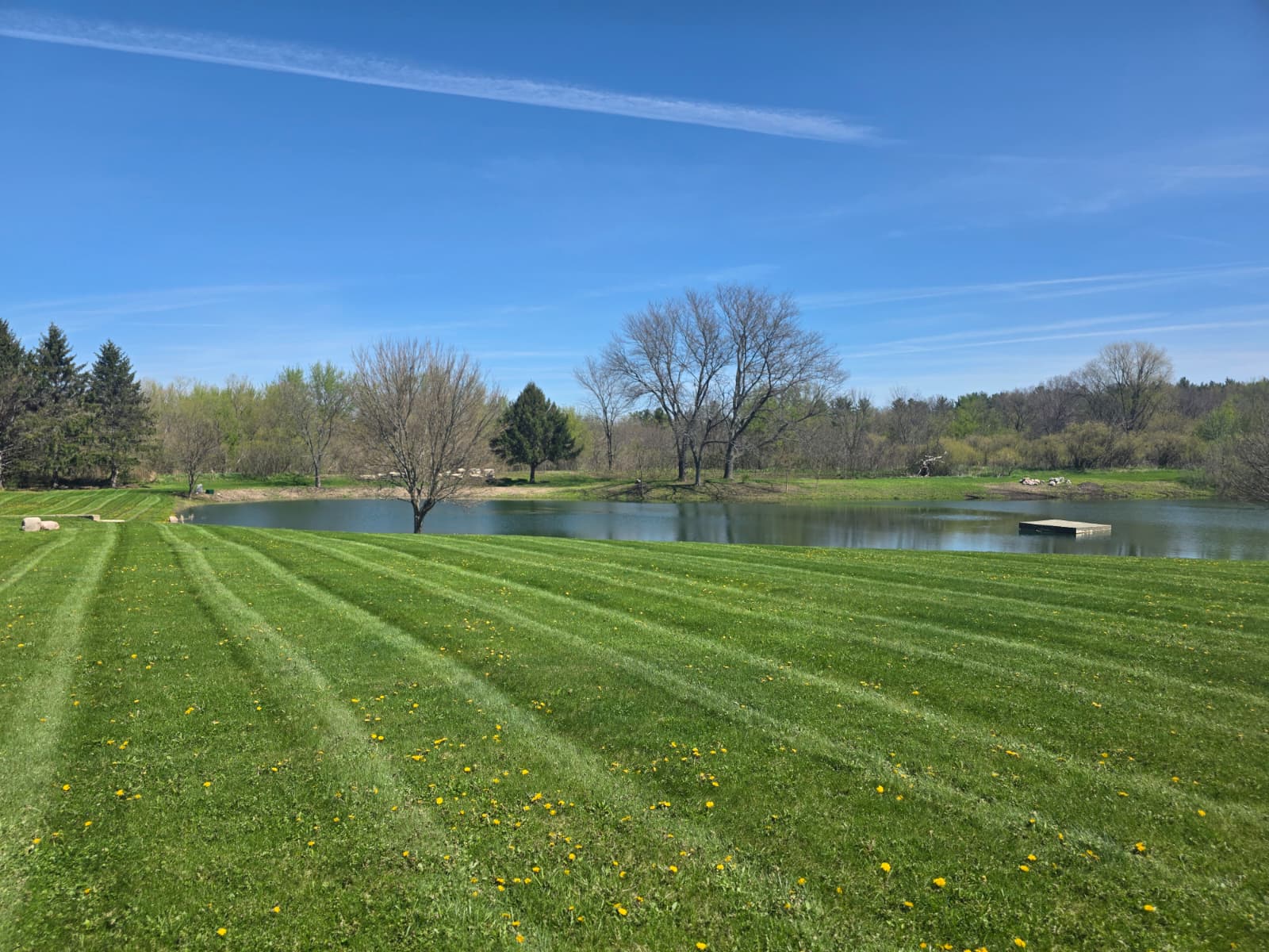 Landscaping project photo
